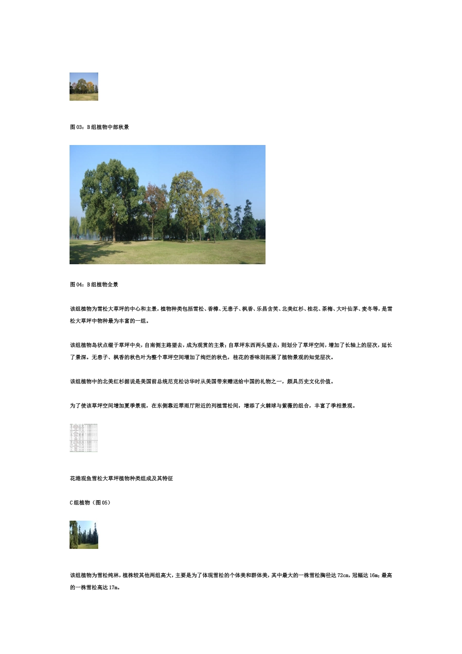 杭州疏林草地优秀案例之一花港观鱼雪松大草坪绿化案例_第3页