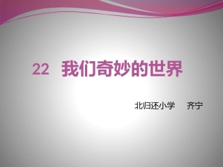 22我们奇妙的世界