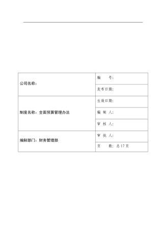 集团公司全面预算管理办法(试行1)