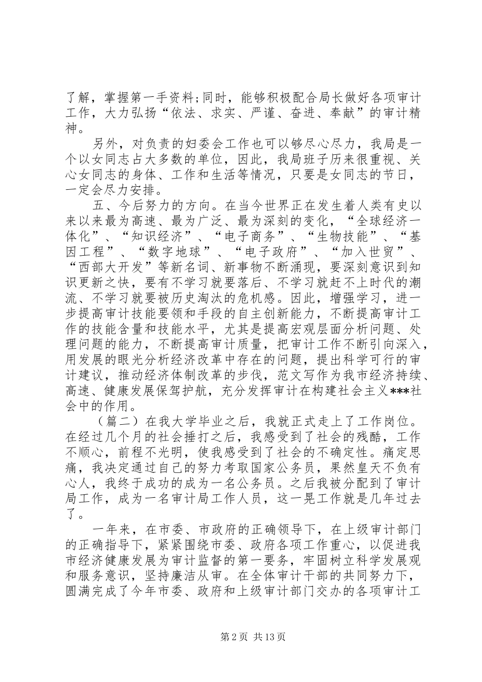 审计个人工作总结范文5篇 _第2页