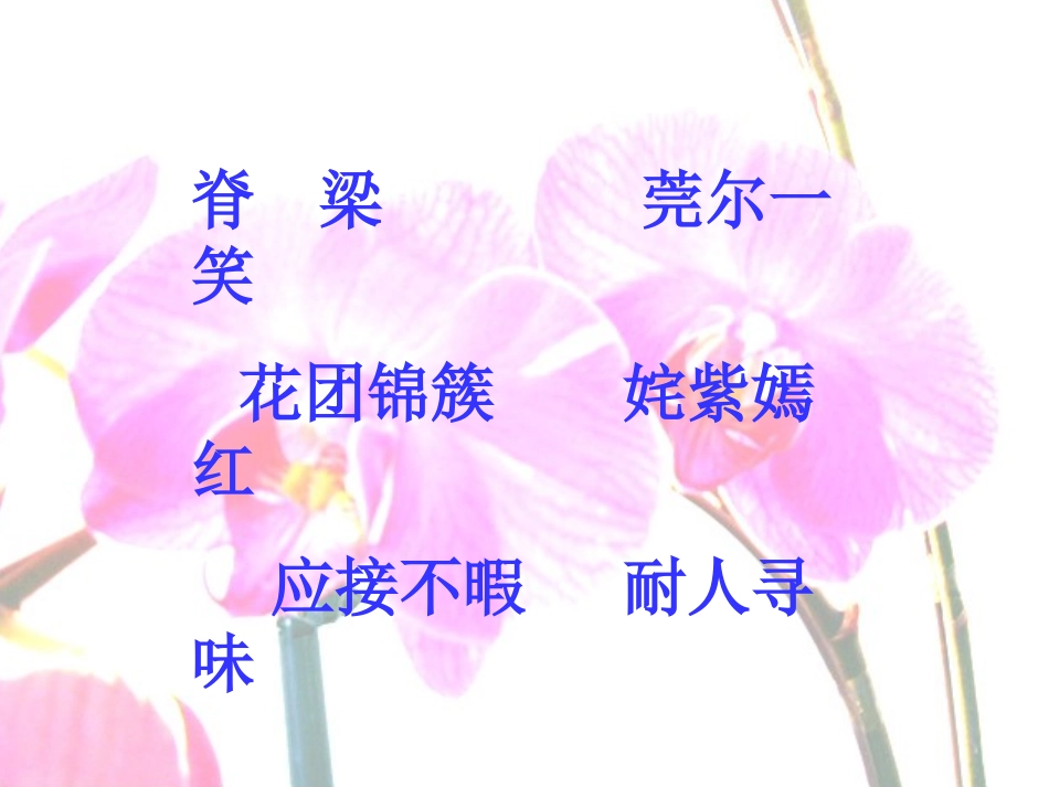 25-自己的花是让别人看的_第2页