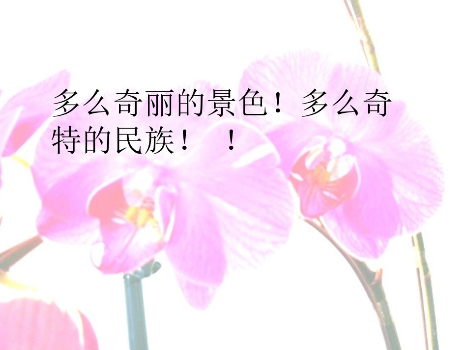 25-自己的花是让别人看的_第3页