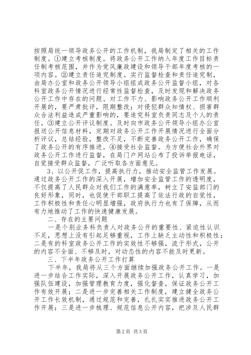 市安监局XX年上半年政务公开工作总结 _第2页