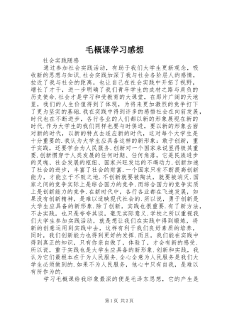 毛概课学习感想