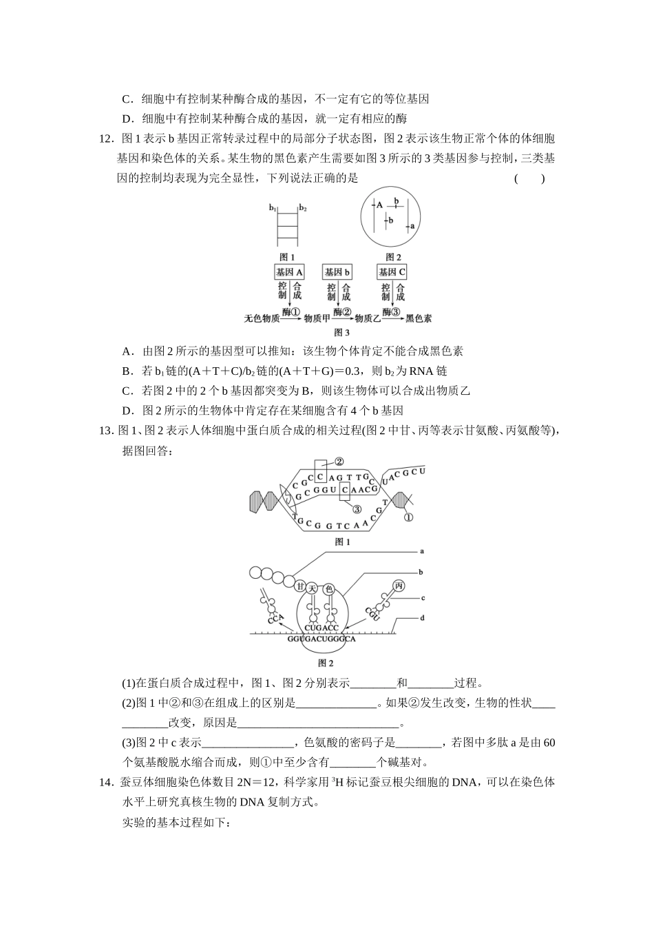 步步高2013遗传的分子基础二轮习题_第3页
