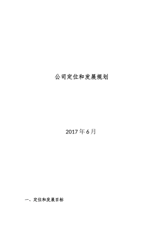 公司定位和发展规划