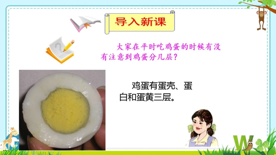 第四节地球的圈层结构_第3页