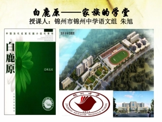 10.《白鹿原》-(2)