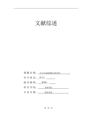 中小企业盈利能力的分析文献综述