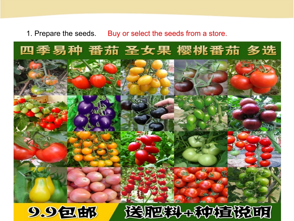 UsingLanguageⅠ-(3)_第3页
