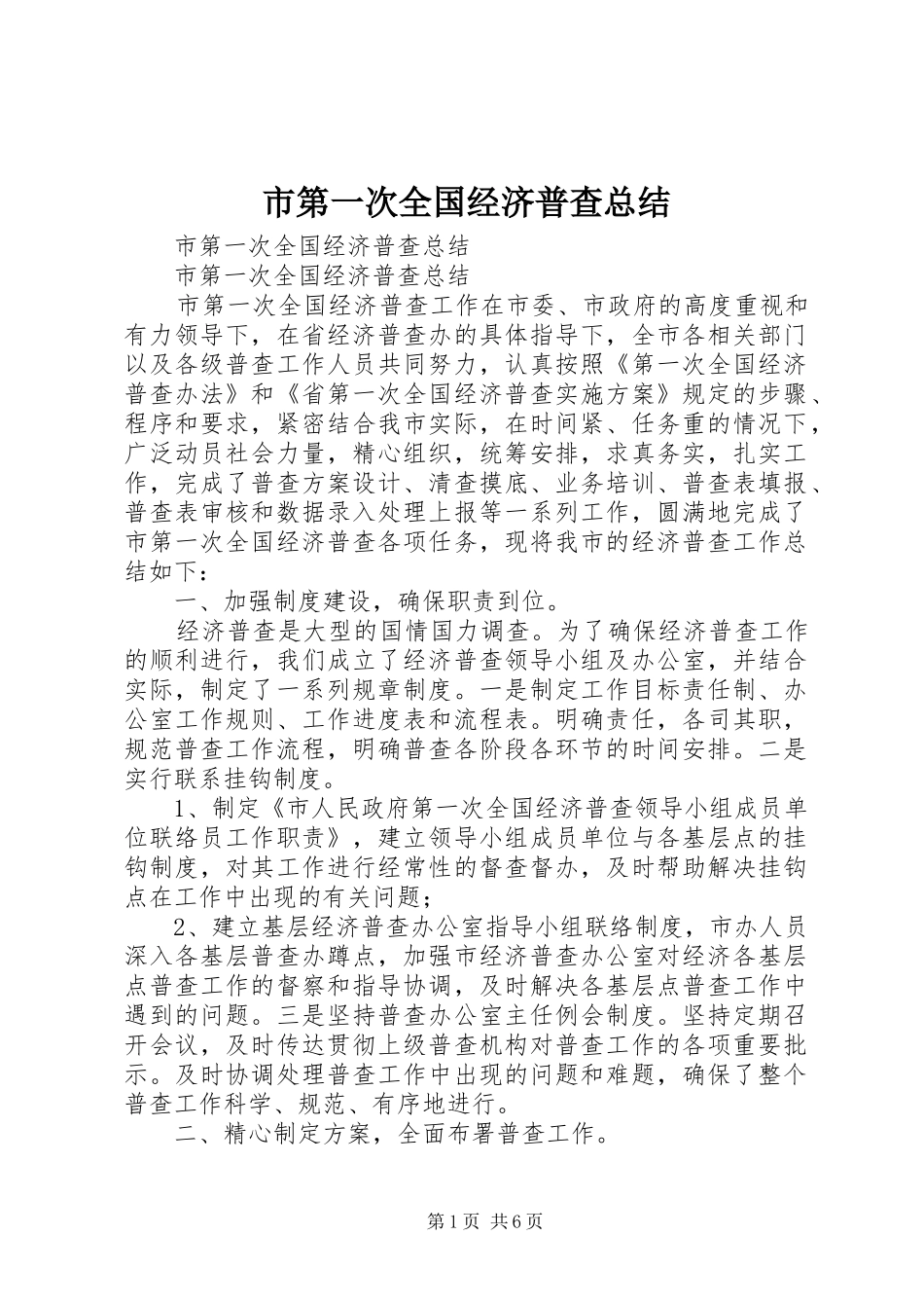 市第一次全国经济普查总结 _第1页