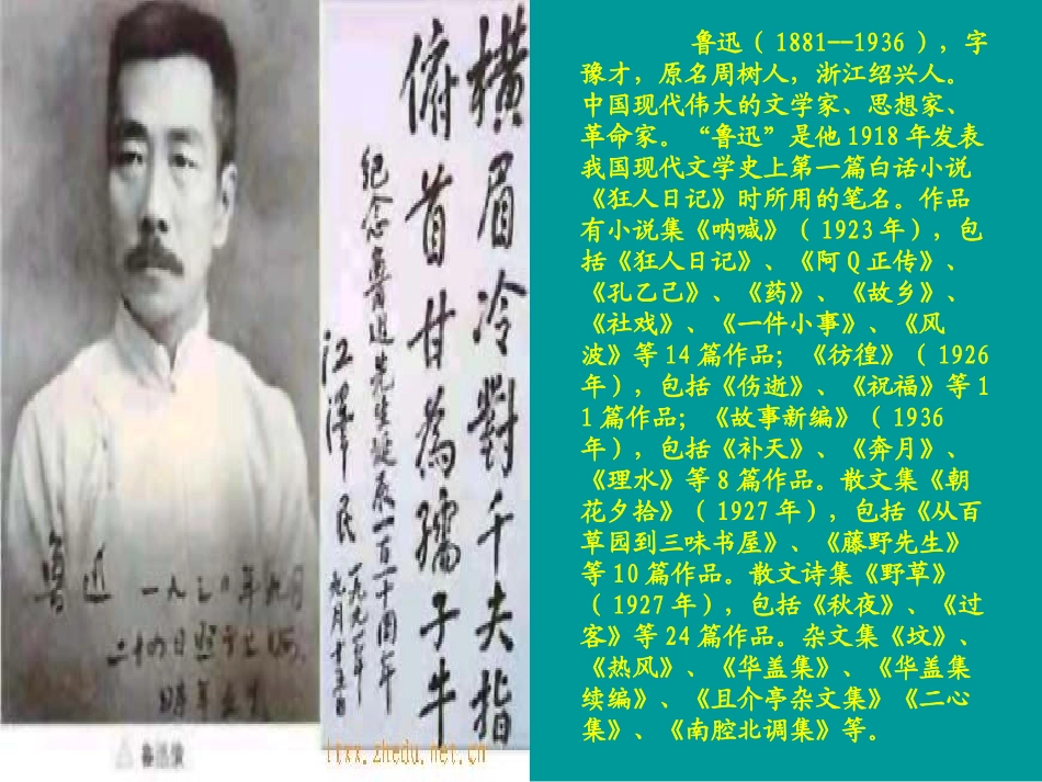 《少年闰土》课件_第2页