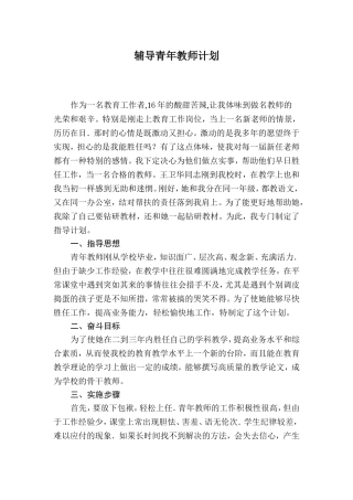 辅导青年教师计划