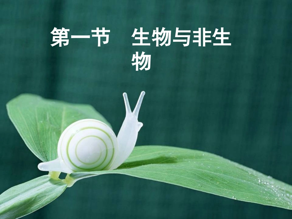 第1节生物与非生物-(2)_第2页