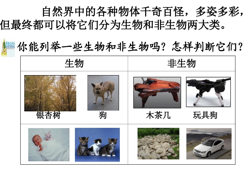 第1节生物与非生物-(2)_第3页