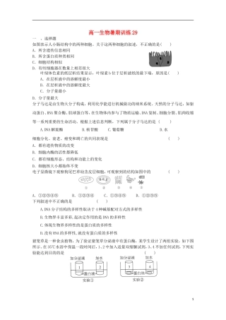 高一生物暑期训练29