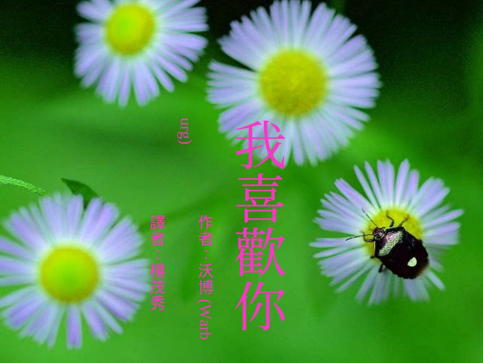 我喜欢你配图_第1页