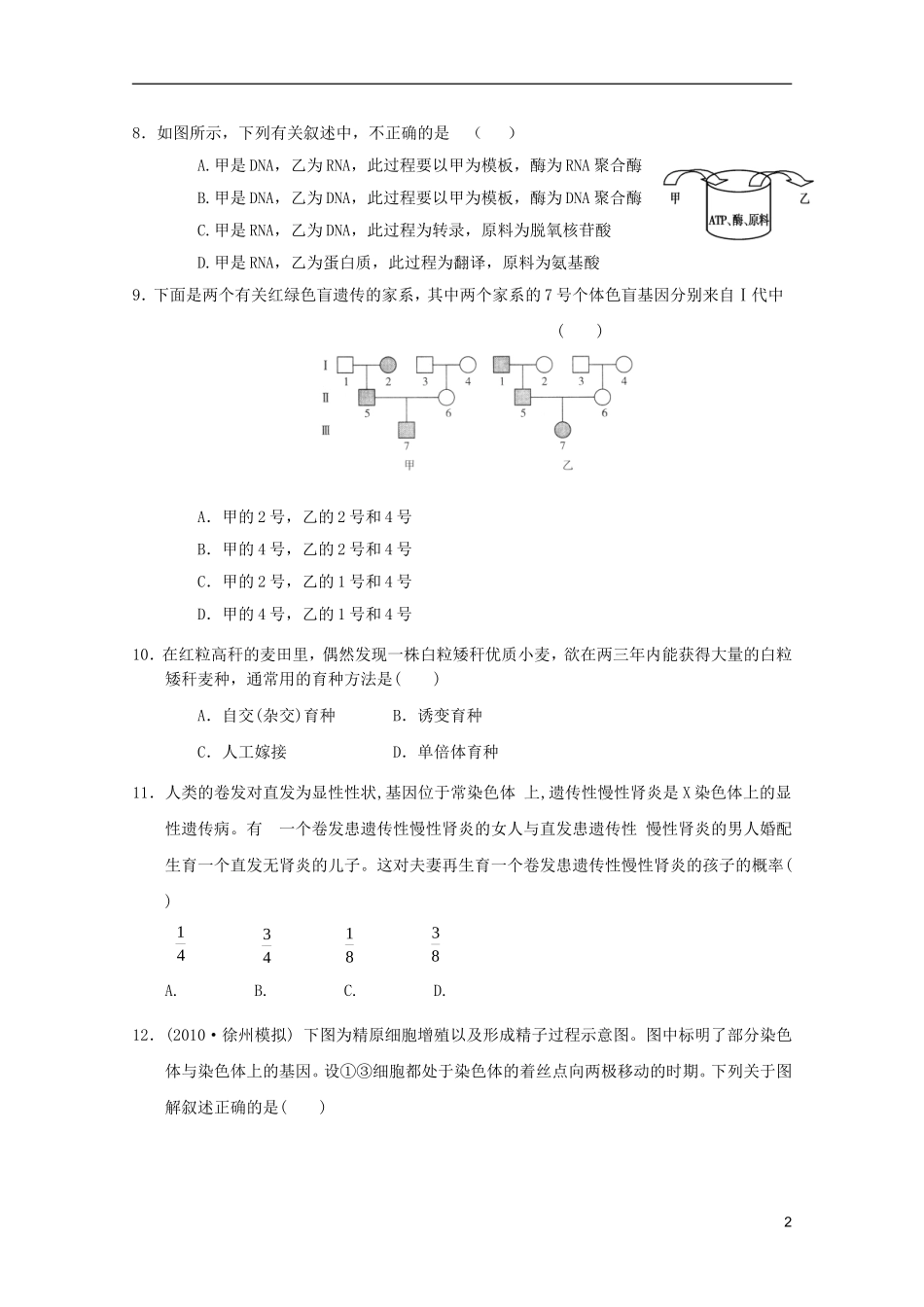山东省2011-2012学年高中生物遗传与进化模块测试16-新人教版必修2_第2页