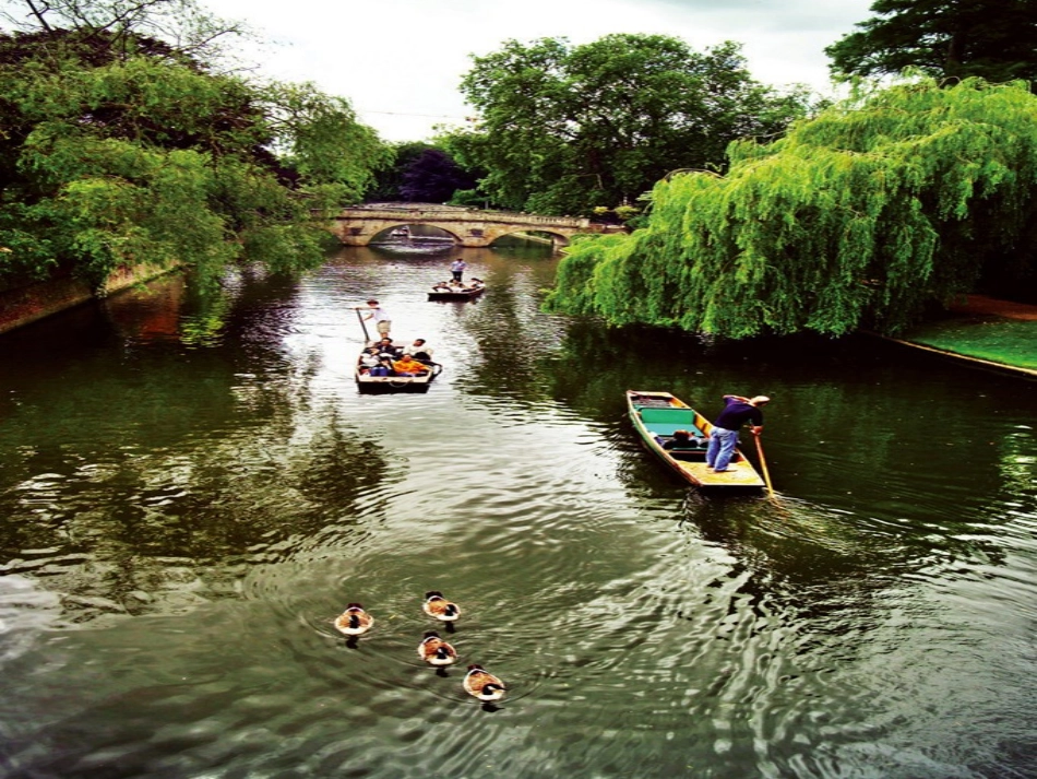 徐晶晶的再别康桥2_第2页