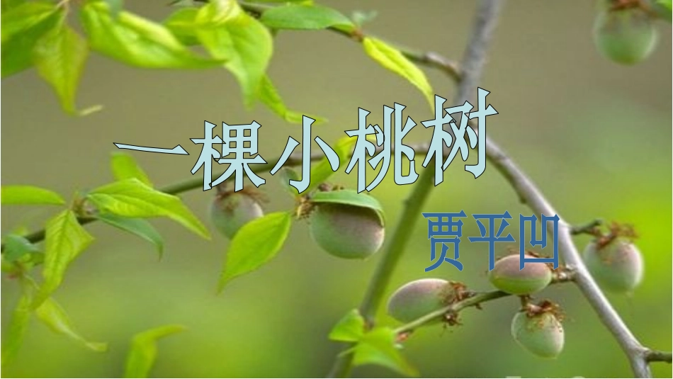 (部编)初中语文人教2011课标版七年级下册一颗小桃树-(11)_第3页