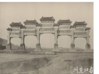 冬阳童年骆驼队1