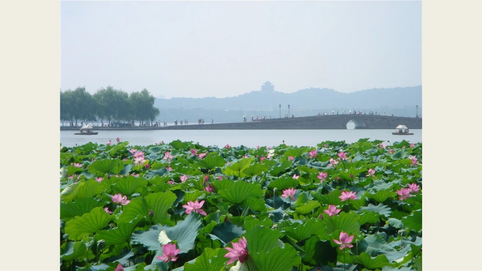 9.妙笔生花_第3页