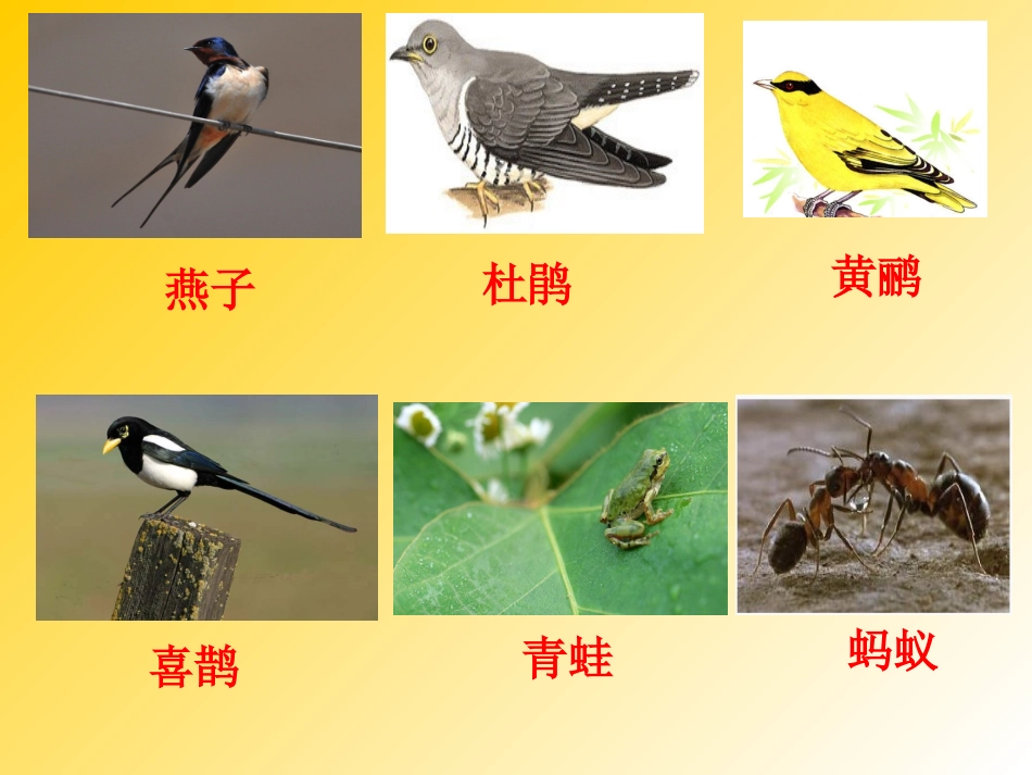 21动物过冬_第2页