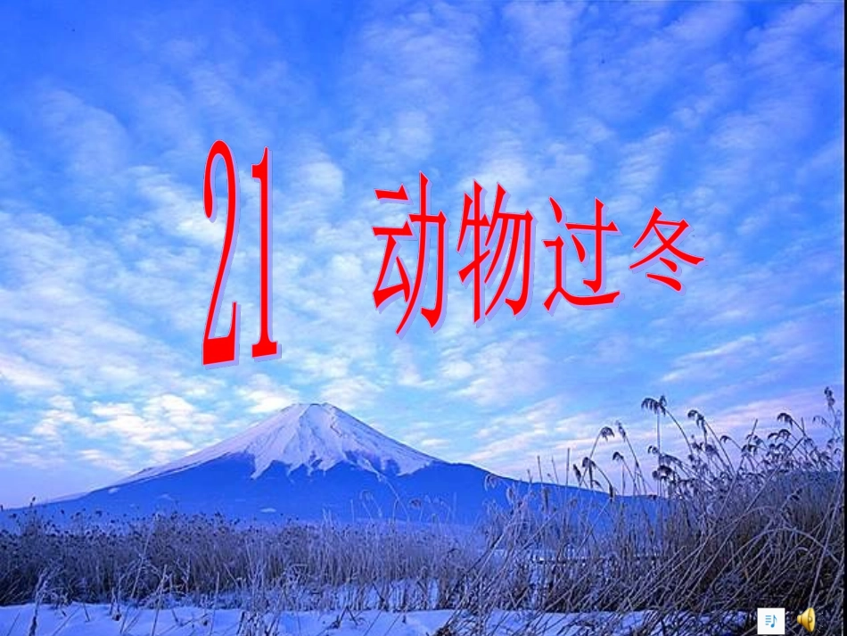 21动物过冬_第3页