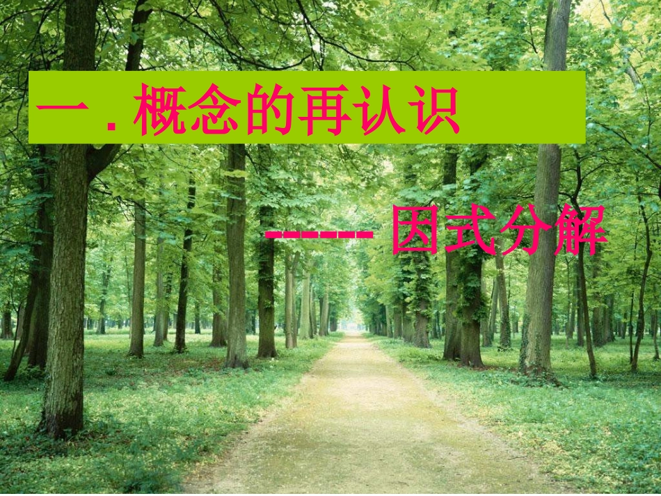 4.1-3因式分解再探_第3页