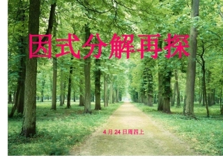 4.1-3因式分解再探