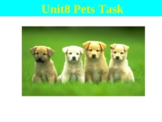 7B-Unit8-Pets-Task(共19张PPT)