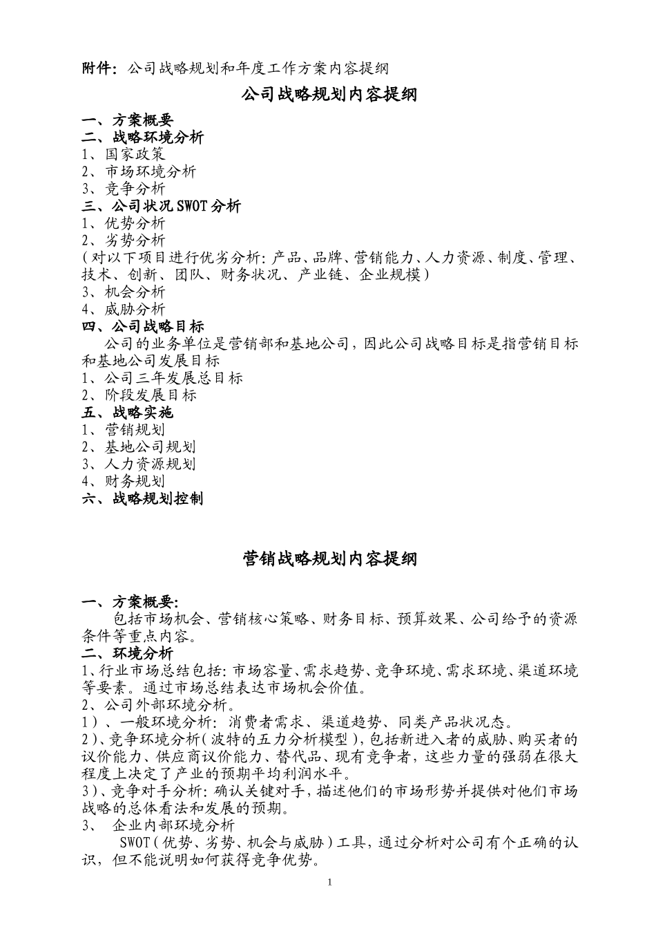 公司战略规划和实施方案内容提纲_第1页