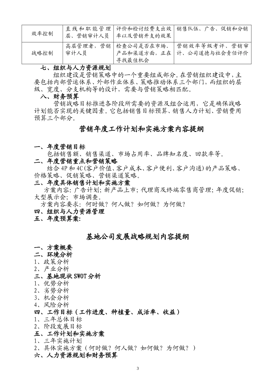 公司战略规划和实施方案内容提纲_第3页