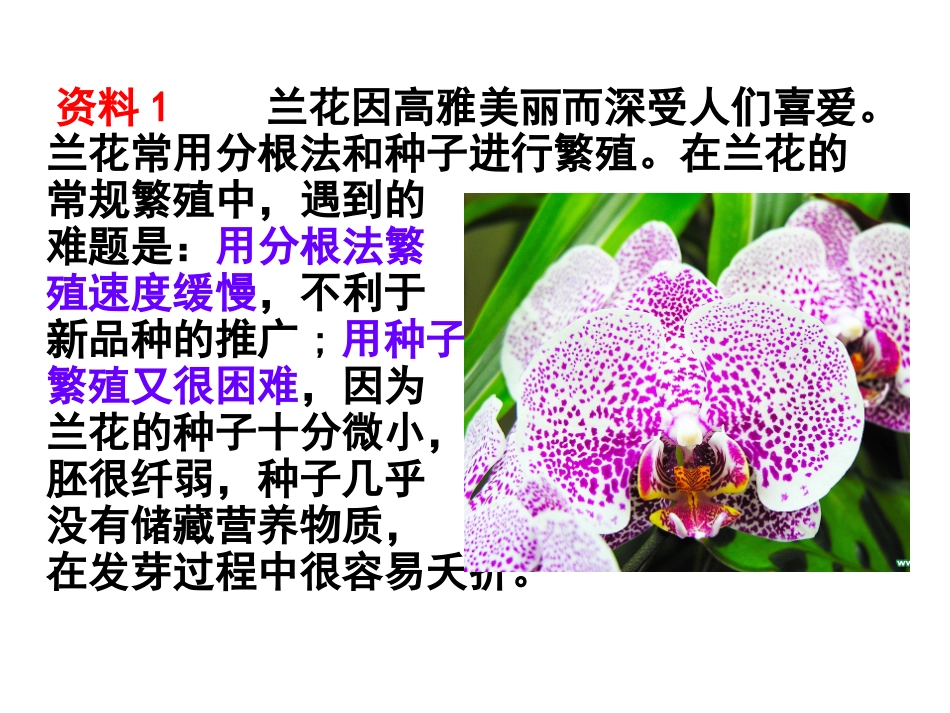 2.1.2-植物细胞工程的实际应用-(2)_第2页