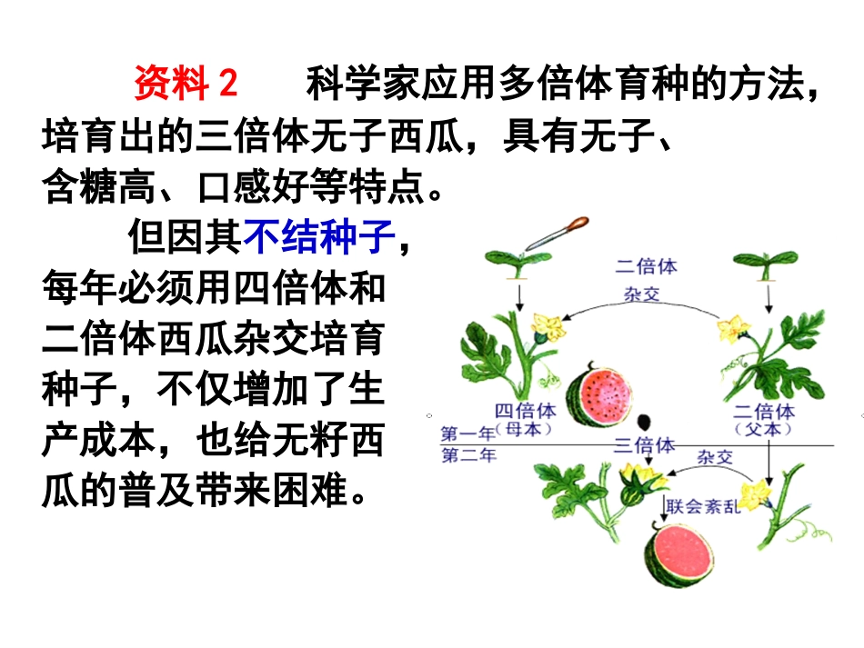 2.1.2-植物细胞工程的实际应用-(2)_第3页