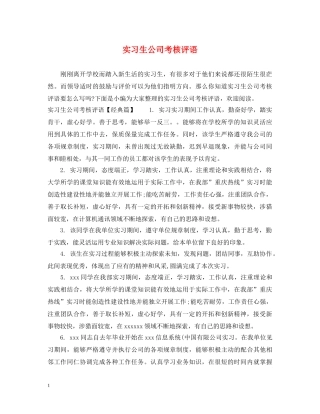 实习生公司考核评语 