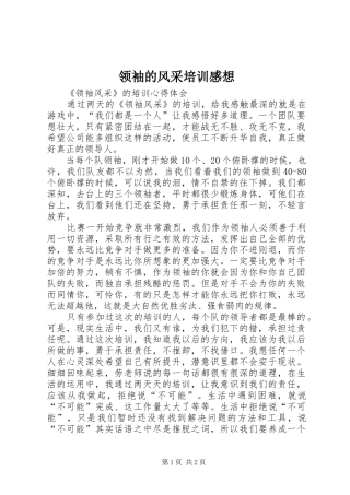 领袖的风采培训感想