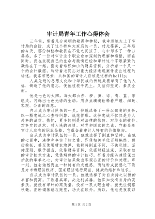 审计局青年工作体会心得