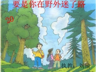 要是你在野外迷了路