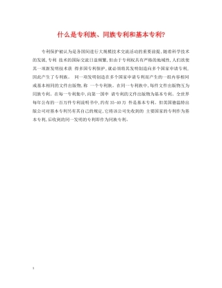 什么是专利族、同族专利和基本专利-