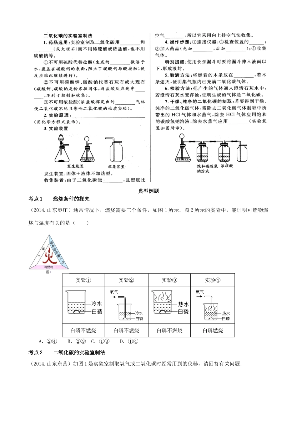 九年级化学上册 第六单元 燃烧与燃料复习(新版)鲁教版试卷_第2页