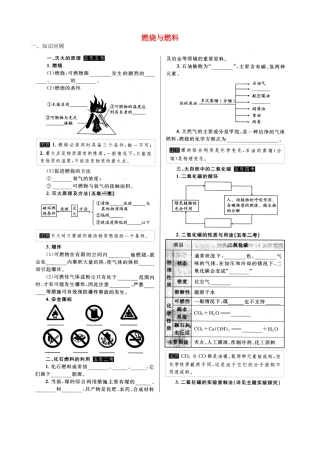 九年级化学上册 第六单元 燃烧与燃料复习(新版)鲁教版试卷