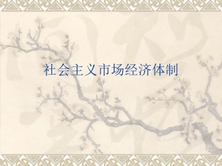 4-完善社会主义市场经济体制