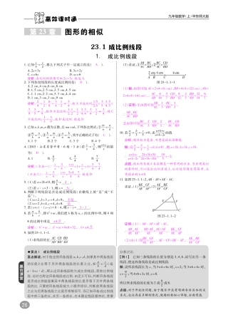 九年级数学上册 第23章 图形的相似综合讲练(pdf)(新版)华东师大版试卷