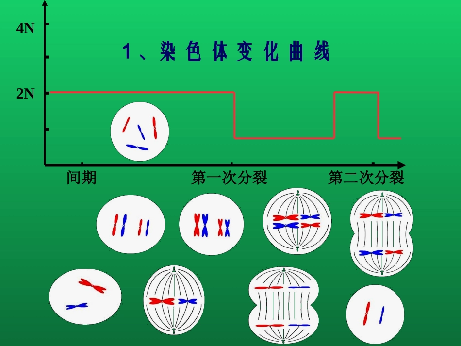 科学·技术·社会-基因治疗_第3页