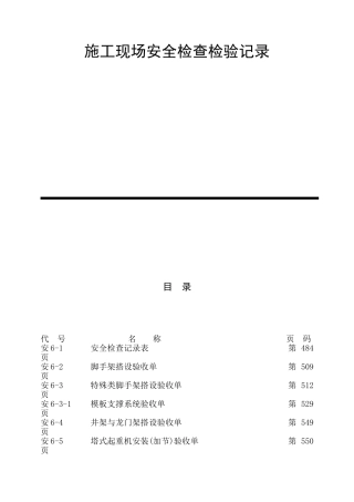 施工现场安全检查记录表
