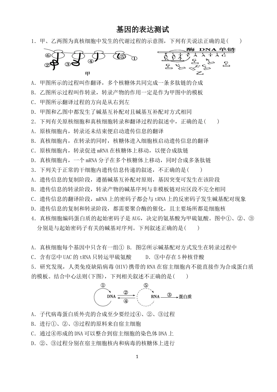 基因的表达测试题_第1页