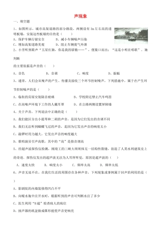 中考物理专题复习 声现象试卷