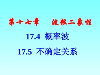 4-概率波-(6)