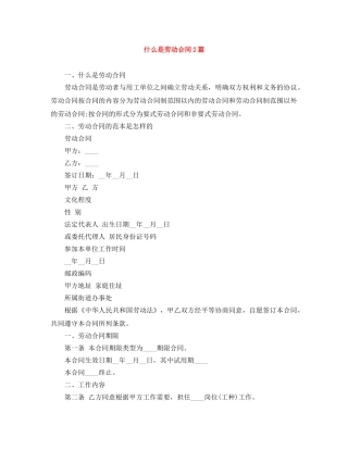 什么是劳动合同2篇